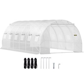 VEVOR 20 x 10 x 7 ft Walk-in Tunnel Greenhouse, Portable Plant Hot House with Galvanized Steel Hoops, 3 Top Beams, Diagonal Poles